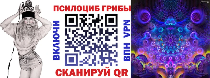 купить наркоту  ОМГ ОМГ рабочий сайт  Галлюциногенные грибы Psilocybe  Боготол 